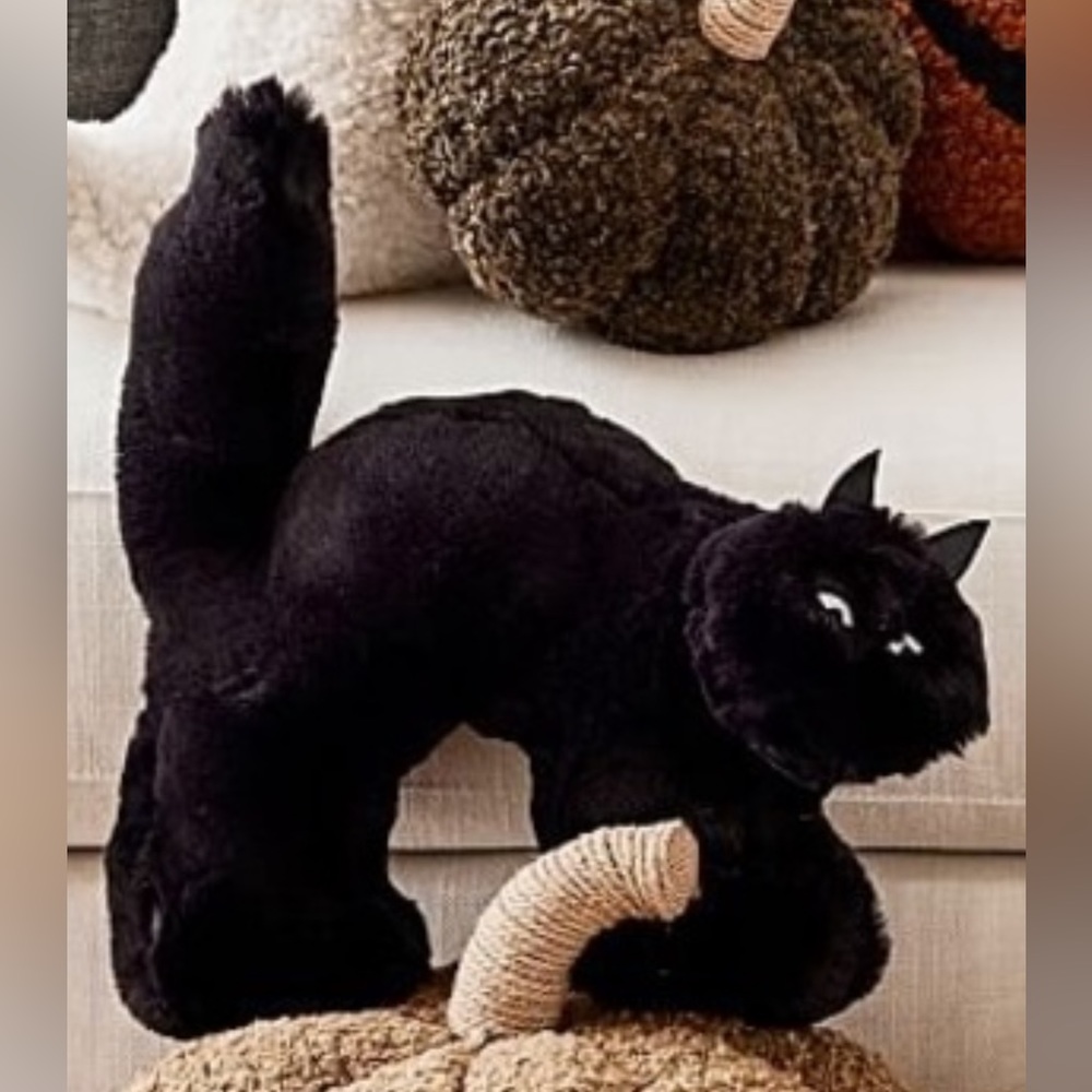 Pottery Barn Spooky Cat pillow